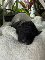 processed/805931c8-52fc-4caa-9b7e-8b874e6f56fd/listing/fece7f80-3fdb-4439-80c3-0925b6148fb6/a6304726-1c96-4b5f-993c-093130196dcf