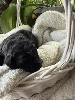 processed/805931c8-52fc-4caa-9b7e-8b874e6f56fd/listing/fece7f80-3fdb-4439-80c3-0925b6148fb6/c73f9abc-e443-48ec-a865-edeb023ded50