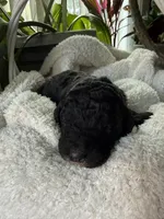 processed/805931c8-52fc-4caa-9b7e-8b874e6f56fd/listing/fece7f80-3fdb-4439-80c3-0925b6148fb6/f961af97-afb6-44bf-94d4-43dd9422fa32