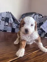 processed/805b70f3-21a8-484c-8c52-c7dad74601c5/listing/0c068c9b-cda1-4bf7-8638-6cf8c264d1e3/276cbf31-ab3b-4bf6-a498-aff11b2d8be6