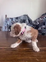 processed/805b70f3-21a8-484c-8c52-c7dad74601c5/listing/0c068c9b-cda1-4bf7-8638-6cf8c264d1e3/6aa9a35f-c977-4187-9b5b-5116cc128ae6