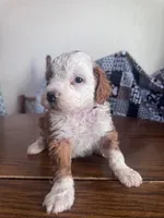 processed/805b70f3-21a8-484c-8c52-c7dad74601c5/listing/0c068c9b-cda1-4bf7-8638-6cf8c264d1e3/76bebdeb-4a4e-434d-99c7-eedd67274b77