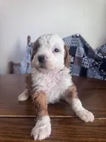 processed/805b70f3-21a8-484c-8c52-c7dad74601c5/listing/0c068c9b-cda1-4bf7-8638-6cf8c264d1e3/862bc129-264a-4b97-8e80-198fa5068186