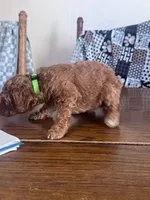 processed/805b70f3-21a8-484c-8c52-c7dad74601c5/listing/31e886c8-cce0-42ab-af07-9ba7357b7102/4faacc3b-dad6-470d-b947-2f1d3ea73c0f