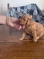 processed/805b70f3-21a8-484c-8c52-c7dad74601c5/listing/31e886c8-cce0-42ab-af07-9ba7357b7102/53ac104d-d45c-4c49-89e0-fcf82e98eb68