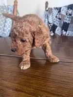 processed/805b70f3-21a8-484c-8c52-c7dad74601c5/listing/31e886c8-cce0-42ab-af07-9ba7357b7102/57d5f89e-1eb5-4088-8eb8-50999d6a401a