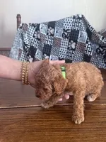 processed/805b70f3-21a8-484c-8c52-c7dad74601c5/listing/31e886c8-cce0-42ab-af07-9ba7357b7102/e4f5c778-b735-4d3f-8659-9ddf0bec6ace