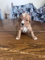 processed/805b70f3-21a8-484c-8c52-c7dad74601c5/listing/79858b6f-9c64-481e-9875-dea3be6fbc1a/102a4ec9-2bf0-4f2d-ae2a-cd6782e3e49b