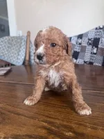 processed/805b70f3-21a8-484c-8c52-c7dad74601c5/listing/79858b6f-9c64-481e-9875-dea3be6fbc1a/4980f2ae-7f51-4f2b-89e0-dfcec094e496