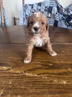 processed/805b70f3-21a8-484c-8c52-c7dad74601c5/listing/79858b6f-9c64-481e-9875-dea3be6fbc1a/77d6bc31-ef31-4174-b5fb-d6abe13a5192