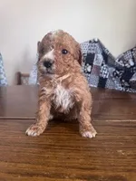 processed/805b70f3-21a8-484c-8c52-c7dad74601c5/listing/79858b6f-9c64-481e-9875-dea3be6fbc1a/e4bcbc91-89c0-4d9b-9dbd-4ef38c635759