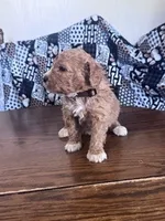 processed/805b70f3-21a8-484c-8c52-c7dad74601c5/listing/82987325-93f5-4ccf-9418-ba16c40ecc98/0ae80a59-328c-4e98-a61e-ed3b32a63d6e