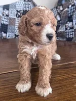 processed/805b70f3-21a8-484c-8c52-c7dad74601c5/listing/82987325-93f5-4ccf-9418-ba16c40ecc98/4dd17e5c-2fe5-458b-bcaf-6b3943705d8f