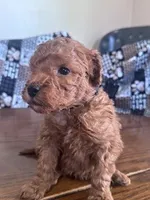 processed/805b70f3-21a8-484c-8c52-c7dad74601c5/listing/a707bd66-ab71-4831-bee4-e0d54b8e0804/02bdb491-a56e-4525-bb56-7b4a3d177314