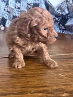 processed/805b70f3-21a8-484c-8c52-c7dad74601c5/listing/a707bd66-ab71-4831-bee4-e0d54b8e0804/367c278d-94d9-4ebd-a39c-cb5181477465