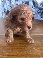 processed/805b70f3-21a8-484c-8c52-c7dad74601c5/listing/a707bd66-ab71-4831-bee4-e0d54b8e0804/4fe14ddc-808b-4ad7-a3fb-0f0e16f4fdf6