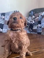 processed/805b70f3-21a8-484c-8c52-c7dad74601c5/listing/a707bd66-ab71-4831-bee4-e0d54b8e0804/bf848b88-5f64-4635-9357-bbbacd7bbd3b