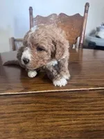 processed/805b70f3-21a8-484c-8c52-c7dad74601c5/listing/ecd2cca5-430f-4b4b-a30d-f565448da0b1/170f9933-5156-462e-b0d9-71640670044d