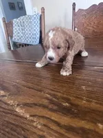 processed/805b70f3-21a8-484c-8c52-c7dad74601c5/listing/ecd2cca5-430f-4b4b-a30d-f565448da0b1/2eac123e-4b98-41a5-9eac-42130edef69a