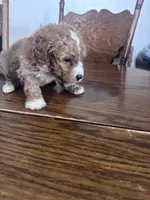 processed/805b70f3-21a8-484c-8c52-c7dad74601c5/listing/ecd2cca5-430f-4b4b-a30d-f565448da0b1/5de01e4e-df5f-4496-912d-3b184dc4177d