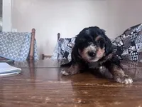 processed/805b70f3-21a8-484c-8c52-c7dad74601c5/listing/f6a56819-6067-424c-90b4-0ef46a947c2e/1cc9d1f2-dcd2-4837-9b2d-7a33978ecb1e