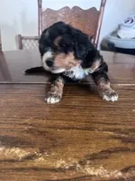 processed/805b70f3-21a8-484c-8c52-c7dad74601c5/listing/f6a56819-6067-424c-90b4-0ef46a947c2e/36081add-3e43-4544-b174-b95d9f859fd6