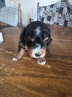 processed/805b70f3-21a8-484c-8c52-c7dad74601c5/listing/f6a56819-6067-424c-90b4-0ef46a947c2e/f83134db-e335-4cd5-ab65-affb6279d45a