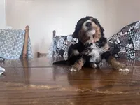 processed/805b70f3-21a8-484c-8c52-c7dad74601c5/listing/f6a56819-6067-424c-90b4-0ef46a947c2e/fc47f8b6-7bf8-4b76-8337-e62d19c39cb2