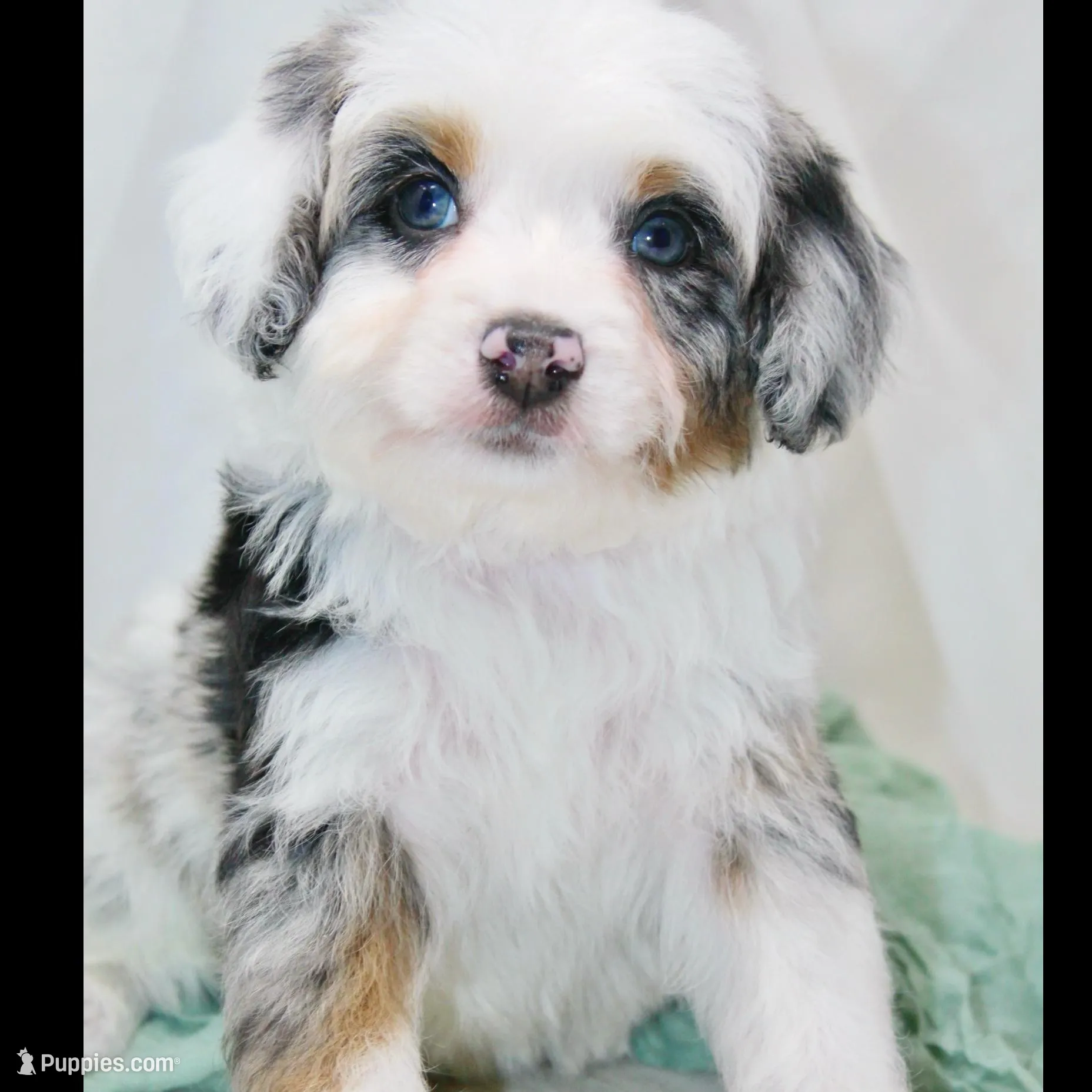 Beau-petite-OFAparents