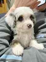 processed/805e33f3-f505-421f-a6a6-c9a008568bbb/listing/8acd68ce-d0f7-4977-a162-b7ccd3620820/b2f196d9-e57a-426b-bc75-8c1671d54191