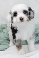 processed/805e33f3-f505-421f-a6a6-c9a008568bbb/listing/8acd68ce-d0f7-4977-a162-b7ccd3620820/dcae9a46-82b6-4836-8c74-ef14b3cf1ab0