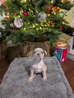 processed/805e907f-8eee-4ed5-a4f3-1e0308fcba42/listing/1ff490b3-2c3d-40ab-95d1-3ac34915ba22/0deccb99-6d85-46da-8d9e-3518d21e6602