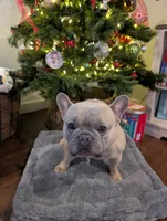 processed/805e907f-8eee-4ed5-a4f3-1e0308fcba42/listing/1ff490b3-2c3d-40ab-95d1-3ac34915ba22/3818cde7-9c09-4da4-8350-a511b9292732