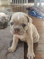 processed/805e907f-8eee-4ed5-a4f3-1e0308fcba42/listing/1ff490b3-2c3d-40ab-95d1-3ac34915ba22/5410e74a-6118-4c14-bad0-10343e199856