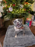 processed/805e907f-8eee-4ed5-a4f3-1e0308fcba42/listing/1ff490b3-2c3d-40ab-95d1-3ac34915ba22/5dcf8cd9-5b20-4148-b066-fb4ef797f2f4