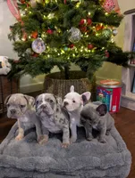 processed/805e907f-8eee-4ed5-a4f3-1e0308fcba42/listing/1ff490b3-2c3d-40ab-95d1-3ac34915ba22/621af048-fd3f-4c2f-b938-901e4cfce529