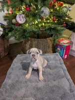 processed/805e907f-8eee-4ed5-a4f3-1e0308fcba42/listing/1ff490b3-2c3d-40ab-95d1-3ac34915ba22/75be0032-3637-42eb-934a-0b838e7947e4