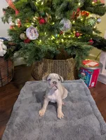 processed/805e907f-8eee-4ed5-a4f3-1e0308fcba42/listing/1ff490b3-2c3d-40ab-95d1-3ac34915ba22/b1f6b0c9-424f-4d46-a994-bc0c4880eb7f