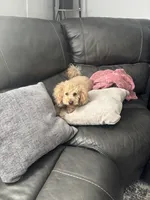 processed/806766f3-952d-459d-bec9-be0932e8f64a/facility/40448765-2383-4f47-8f85-fc261825000b