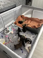 processed/806766f3-952d-459d-bec9-be0932e8f64a/facility/67fae47d-c5a2-43ec-8f97-12952f3fcc34