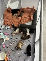 processed/806766f3-952d-459d-bec9-be0932e8f64a/facility/c5261f9a-8eb7-4f07-b12d-173cbfa0eafd