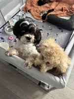 processed/806766f3-952d-459d-bec9-be0932e8f64a/facility/ecde2511-7928-4793-a248-2ea0d78b5901