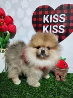 processed/8068c1a9-2015-4d22-bce2-480cc58ab1c8/listing/51c26d85-f447-49e3-bf5a-99fe5fb80b18/0418e129-04a8-46e5-a29d-a3a13cff81fe