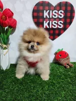 processed/8068c1a9-2015-4d22-bce2-480cc58ab1c8/listing/51c26d85-f447-49e3-bf5a-99fe5fb80b18/80710fee-278e-4b54-884d-1970ab253462