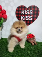 processed/8068c1a9-2015-4d22-bce2-480cc58ab1c8/listing/51c26d85-f447-49e3-bf5a-99fe5fb80b18/88bd8112-1210-4b93-87db-5ed737bb92a9