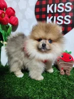 processed/8068c1a9-2015-4d22-bce2-480cc58ab1c8/listing/51c26d85-f447-49e3-bf5a-99fe5fb80b18/efa5edb4-5631-4431-854c-7e9cdae5b6e9