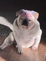 processed/808fff14-dffc-465e-8623-d41933b34b18/facility/1a1381ce-f878-4441-88bd-6400968c8cda