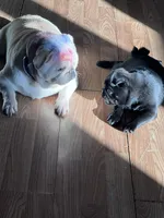 processed/808fff14-dffc-465e-8623-d41933b34b18/facility/1f9e9d8b-6044-4323-807b-0fc5c161a228