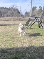 processed/808fff14-dffc-465e-8623-d41933b34b18/facility/325d3c7e-09e5-4dd4-9586-25484f85d7bc