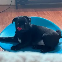 processed/808fff14-dffc-465e-8623-d41933b34b18/facility/33ba868d-7308-43d7-a537-45ac18a93b91